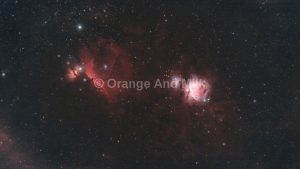 OrangeAndMilk_Orion